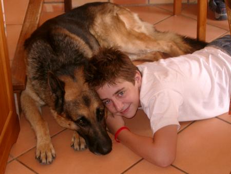 chien